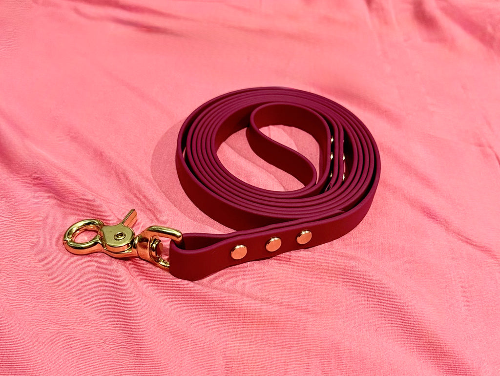 BioThane Dog Lead image 3