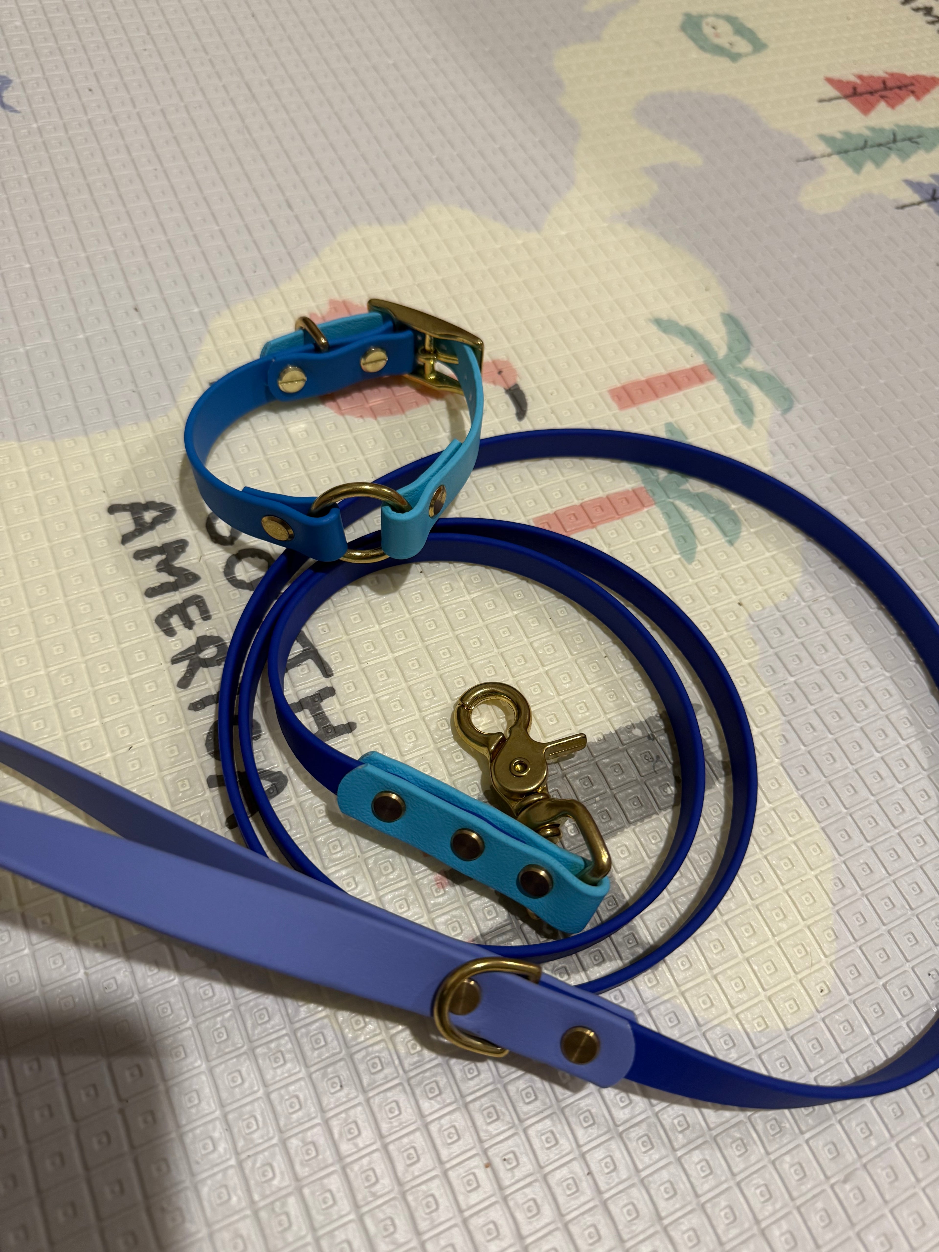 Two Tone O Ring Collar image 1