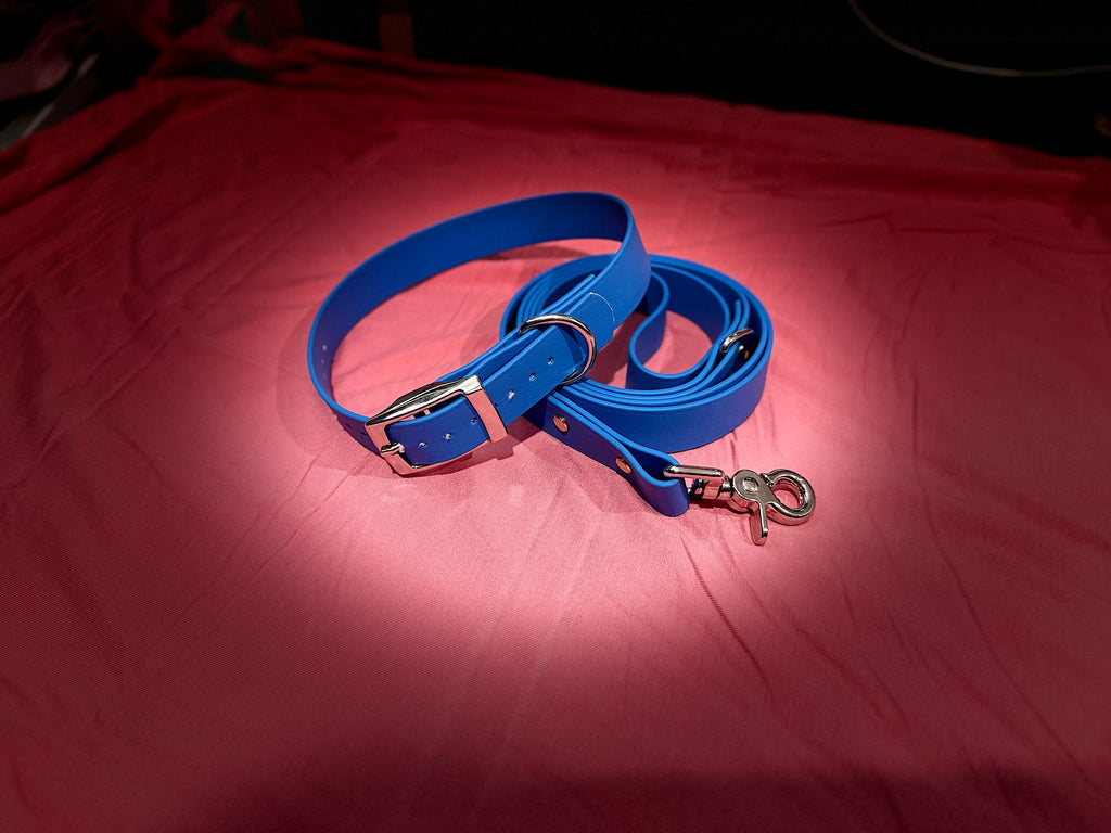 BioThane Dog Lead image 1